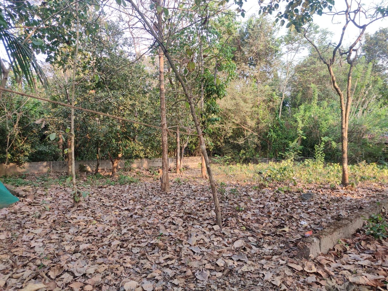 Land for sale Palakkad Property